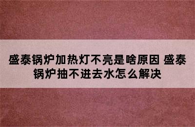 盛泰锅炉加热灯不亮是啥原因 盛泰锅炉抽不进去水怎么解决